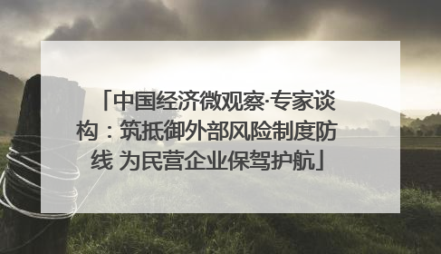 中国经济微观察·专家谈构：筑抵御外部风险制度防线 为民营企业保驾护航
